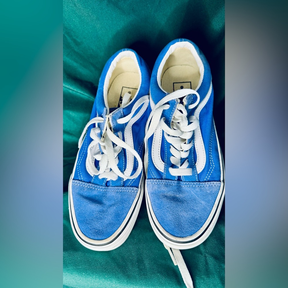 Vans Old Skool sneakers